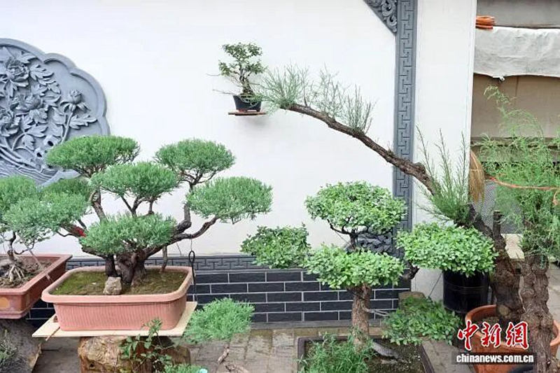 微信图片_2026-05-27_144011_309_副本.jpg