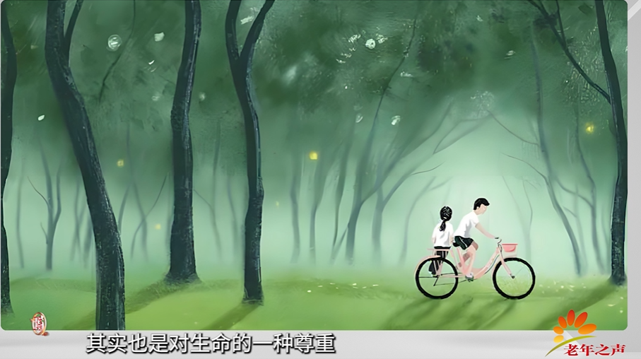《云边有个小卖部》